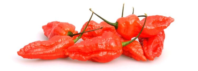 Bhut Jolokia peperoncino piccante