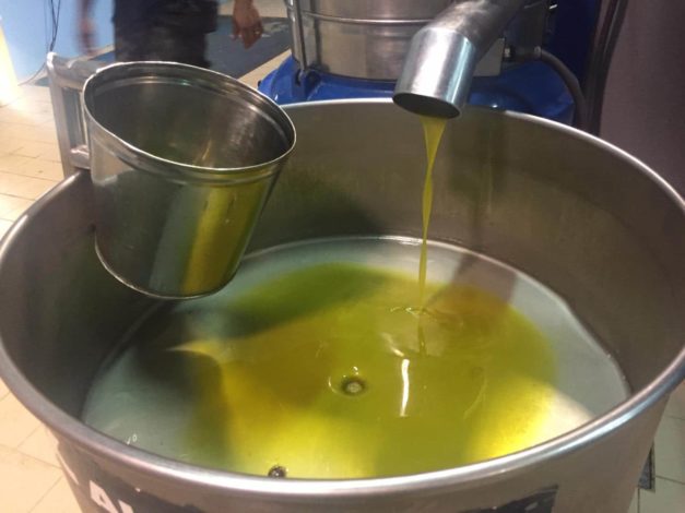 Nuovo olio extravergine di oliva 2021 disponibile acquisto online