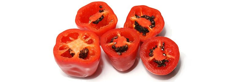 Peperoncini più piccanti al mondo: ecco la classifica peperoncini piccanti 13 Rocoto peperoncino piccante