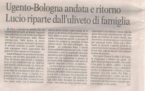 azienda agricola Lucio Paiano dall’uliveto di famiglia